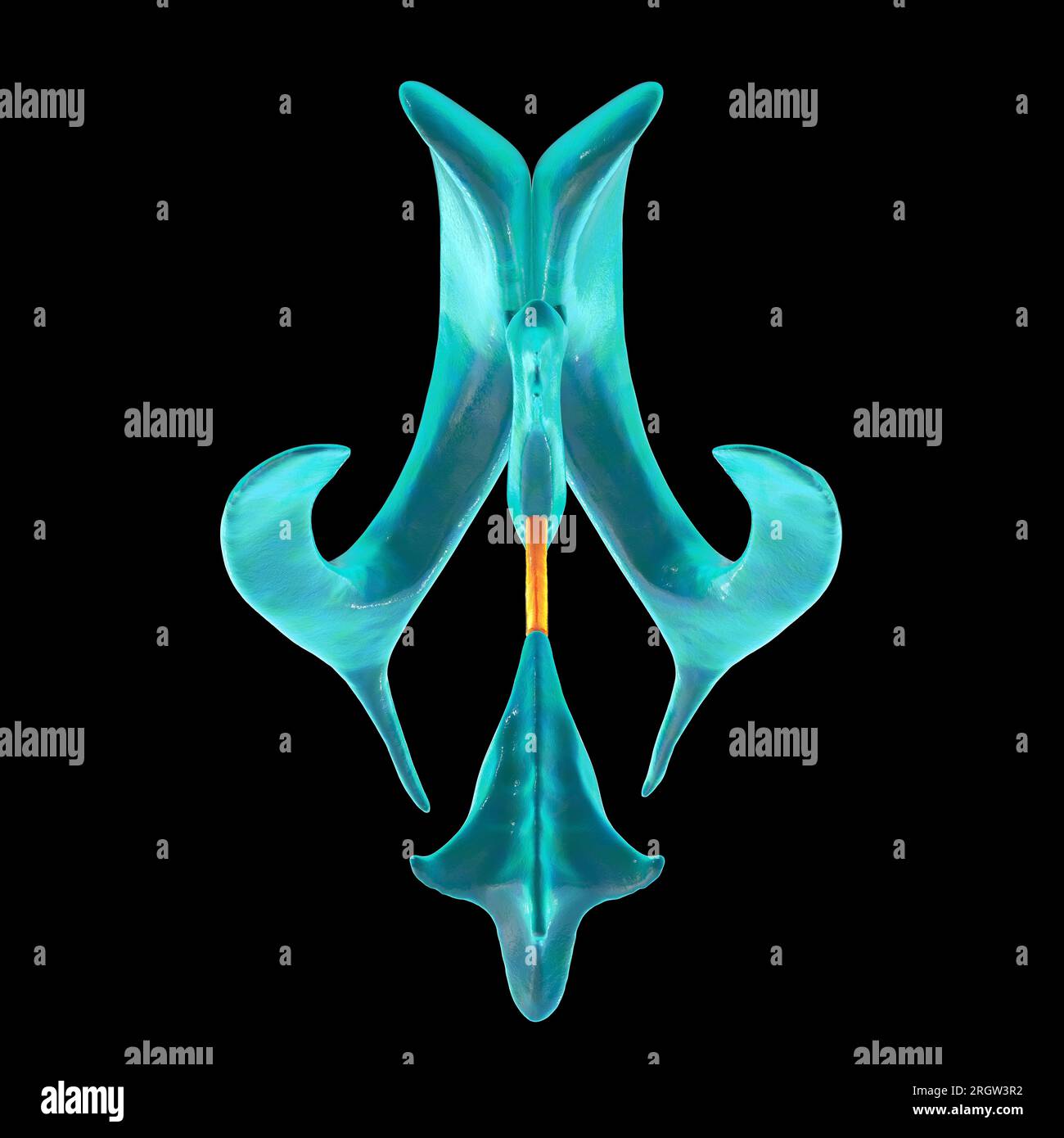 Hirnaquädukt, Illustration Stockfoto