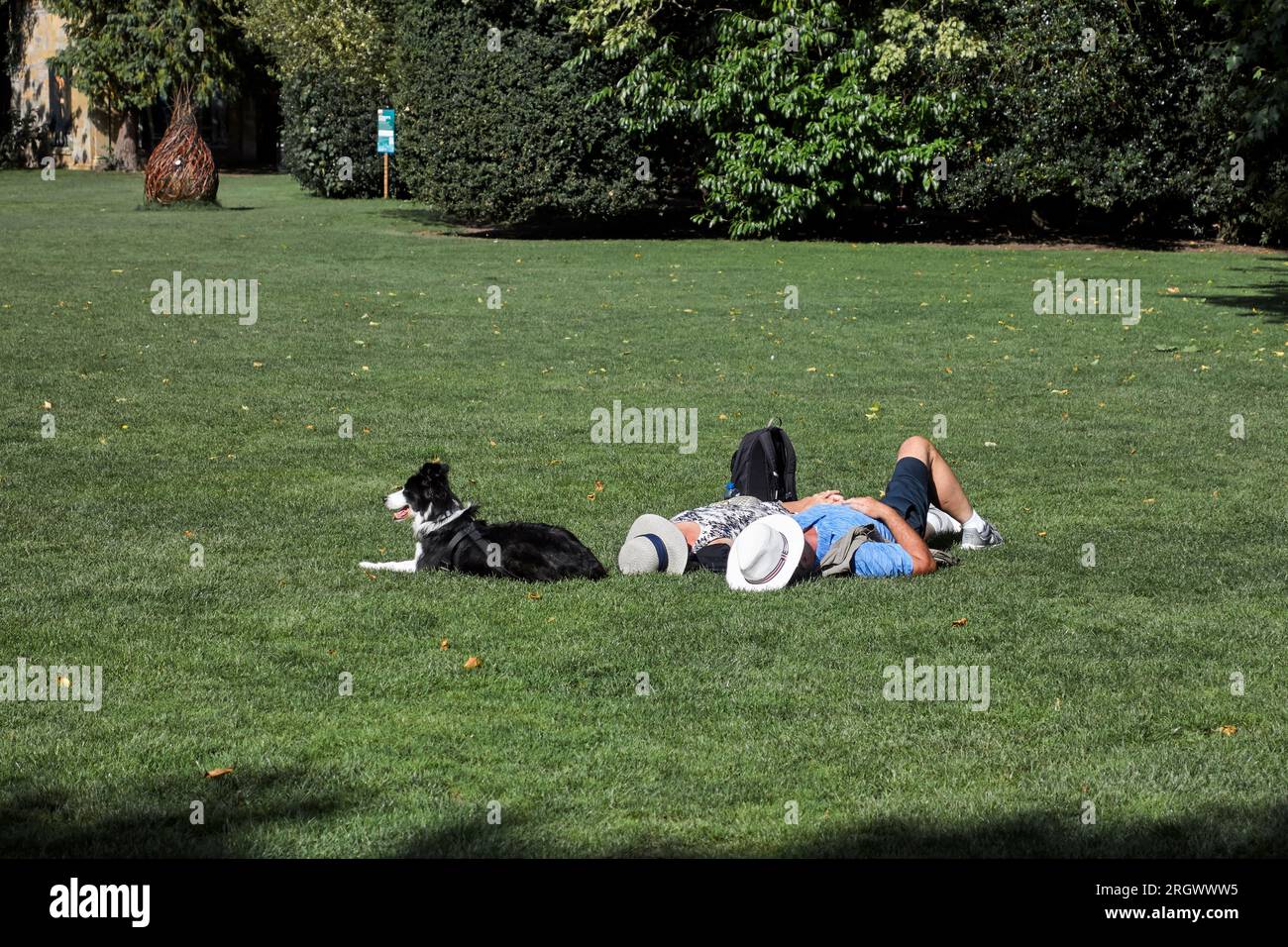 Menschen und Hunde UK. Ein Paar, das sich an einem heißen Sommertag im Freien erholt und den Hund im Auge behält. England Stockfoto