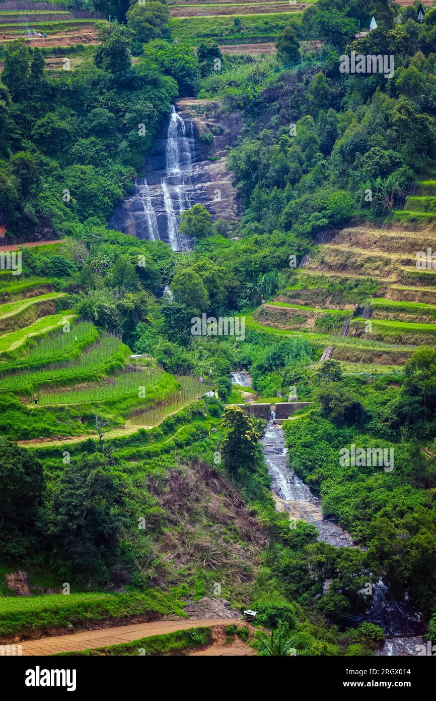 Schöner Blick auf die Landwirtschaftsfarm in Vattavada in Munnar, Idukki District, Kerala, Indien Stockfoto