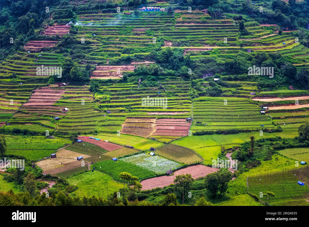 Schöner Blick auf die Landwirtschaftsfarm in Vattavada in Munnar, Idukki District, Kerala, Indien Stockfoto