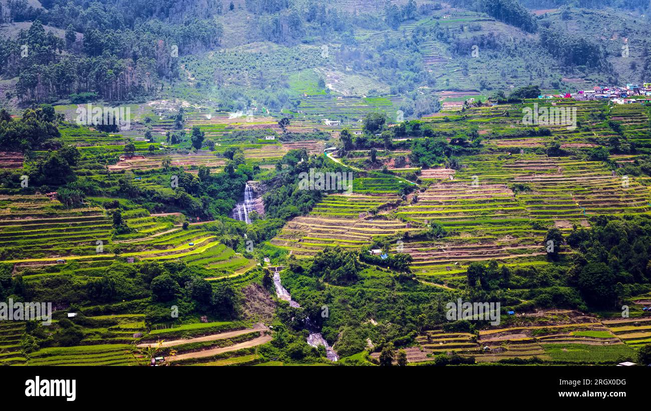 Schöner Blick auf die Landwirtschaftsfarm in Vattavada in Munnar, Idukki District, Kerala, Indien Stockfoto