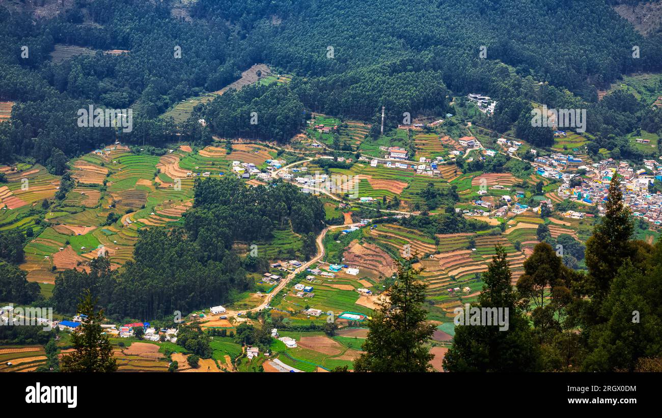 Schöner Blick auf die Landwirtschaftsfarm in Vattavada in Munnar, Idukki District, Kerala, Indien Stockfoto