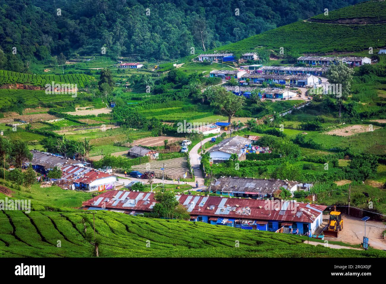 Tee-Plantagen in Munnar, Kerala, Indien Stockfoto