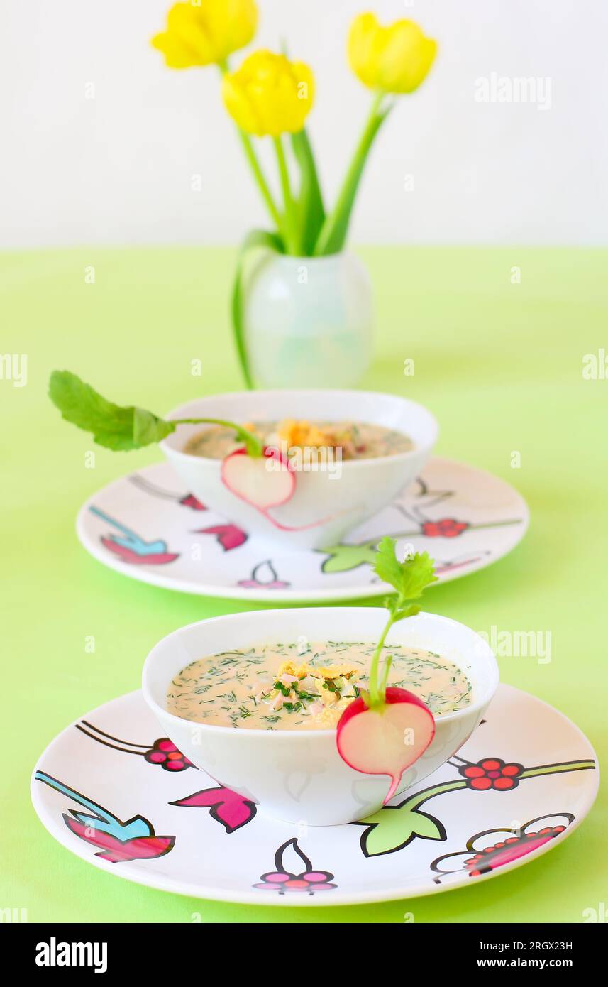 Sommerliche kalte Suppe (Oroshka) mit Gemüse, Fleisch und Eiern Stockfoto