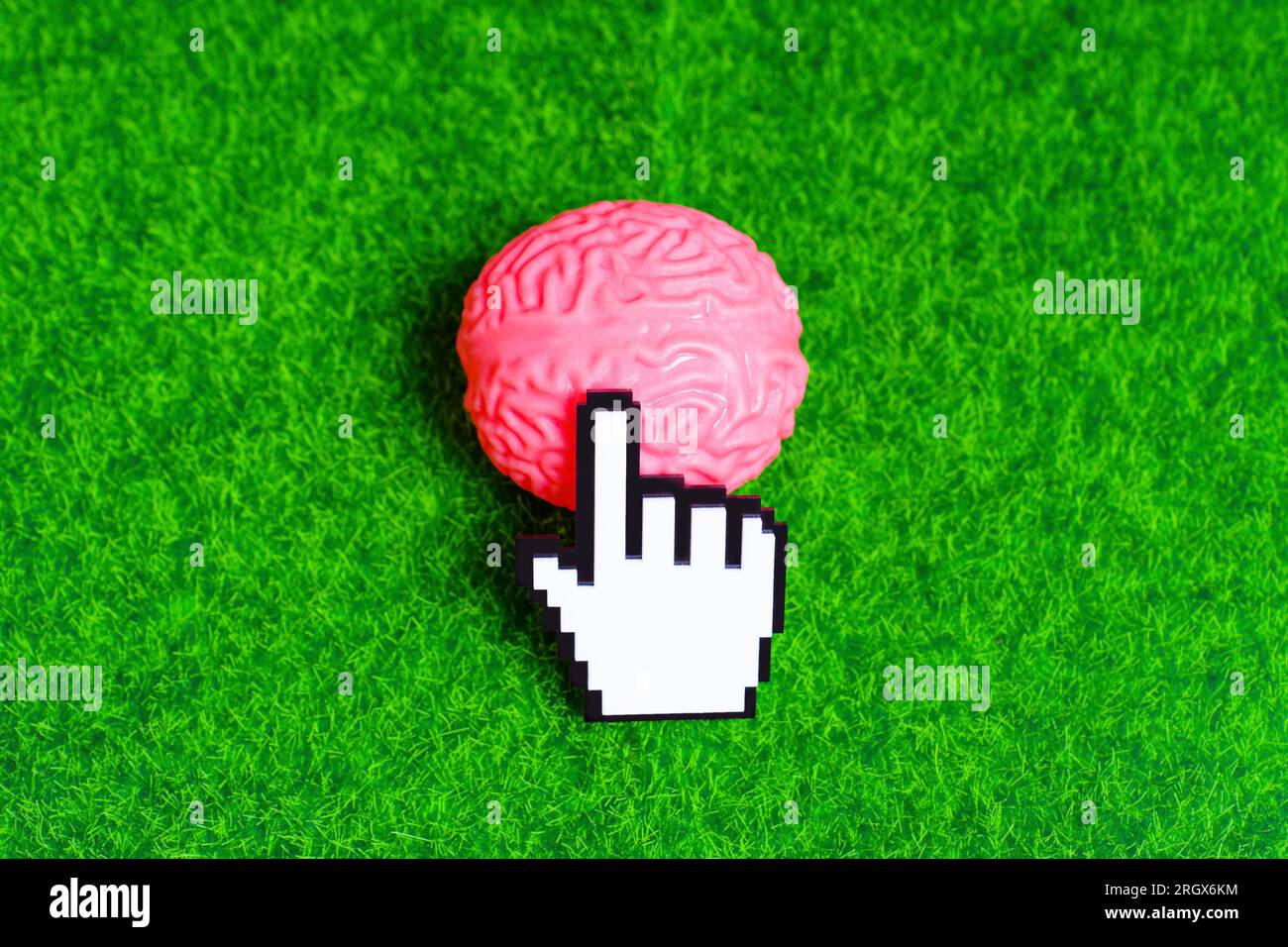 Der weiße blockige Plastikzeiger klickt auf ein pinkfarbenes menschliches Hirnmodell, das auf einem grünen Rasenhintergrund platziert ist. Stockfoto