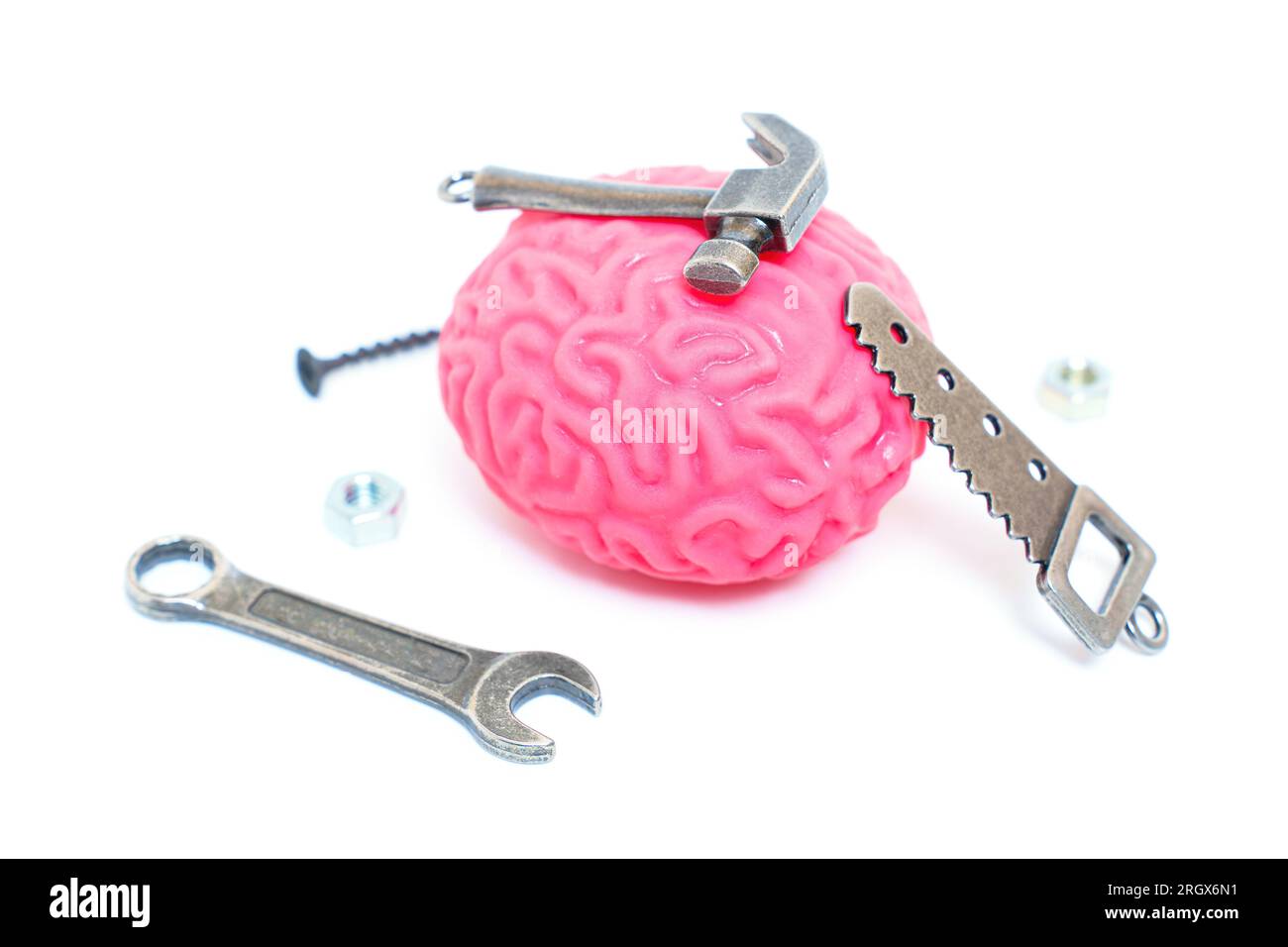 Menschliches Hirnmodell mit Miniatur-Handwerkzeugen wie Hammer, Säge, Schraubenschlüssel und Befestigungselemente, die das Konzept der „Fixierung“ und der Adressin symbolisieren Stockfoto