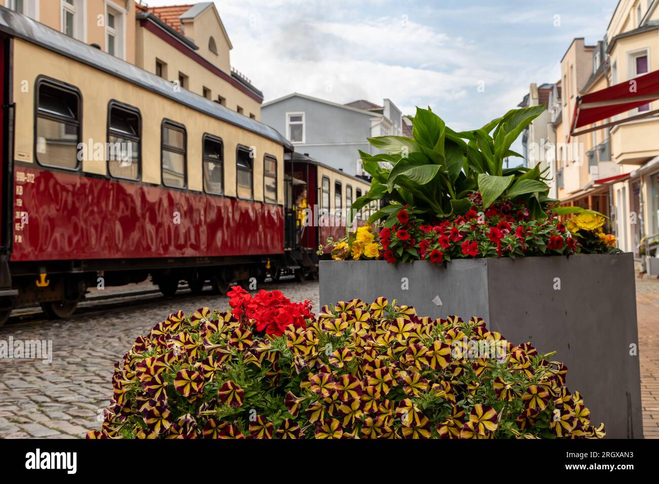 Historische Dampfeisenbahn in Bad Doberan Stockfoto