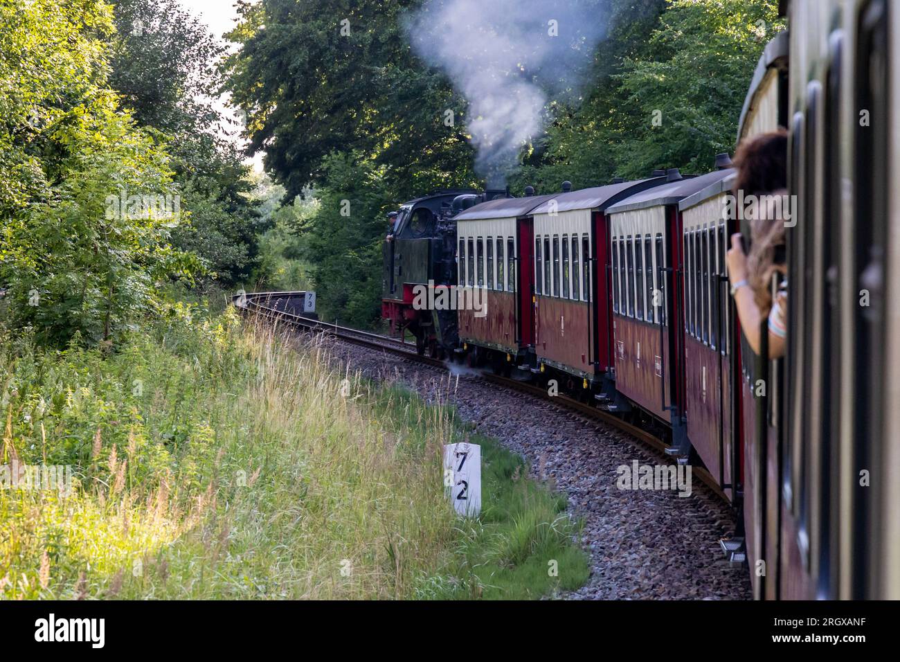 Historische Dampfeisenbahn in Mecklenburg Stockfoto