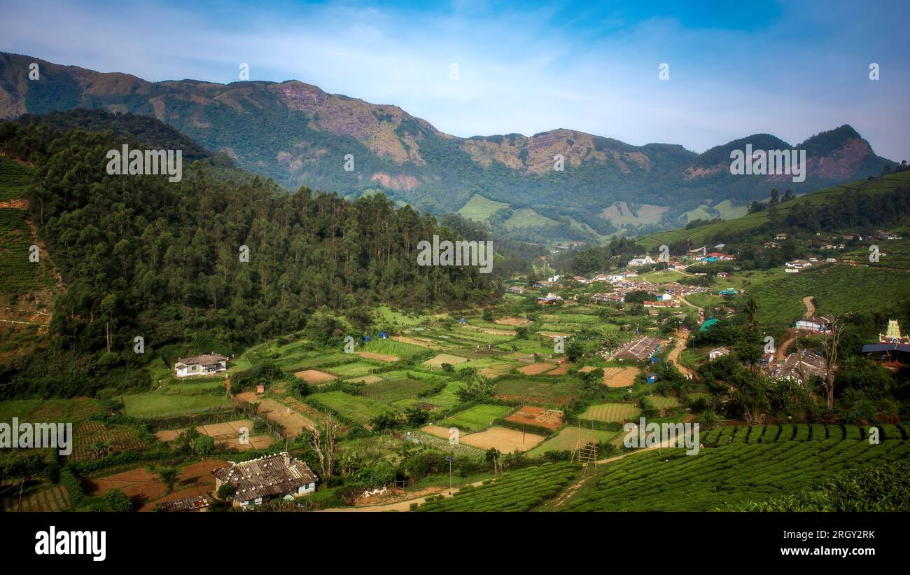 Schöner Blick auf die Landwirtschaftsfarm in Vattavada in Munnar, Idukki District, Kerala, Indien Stockfoto
