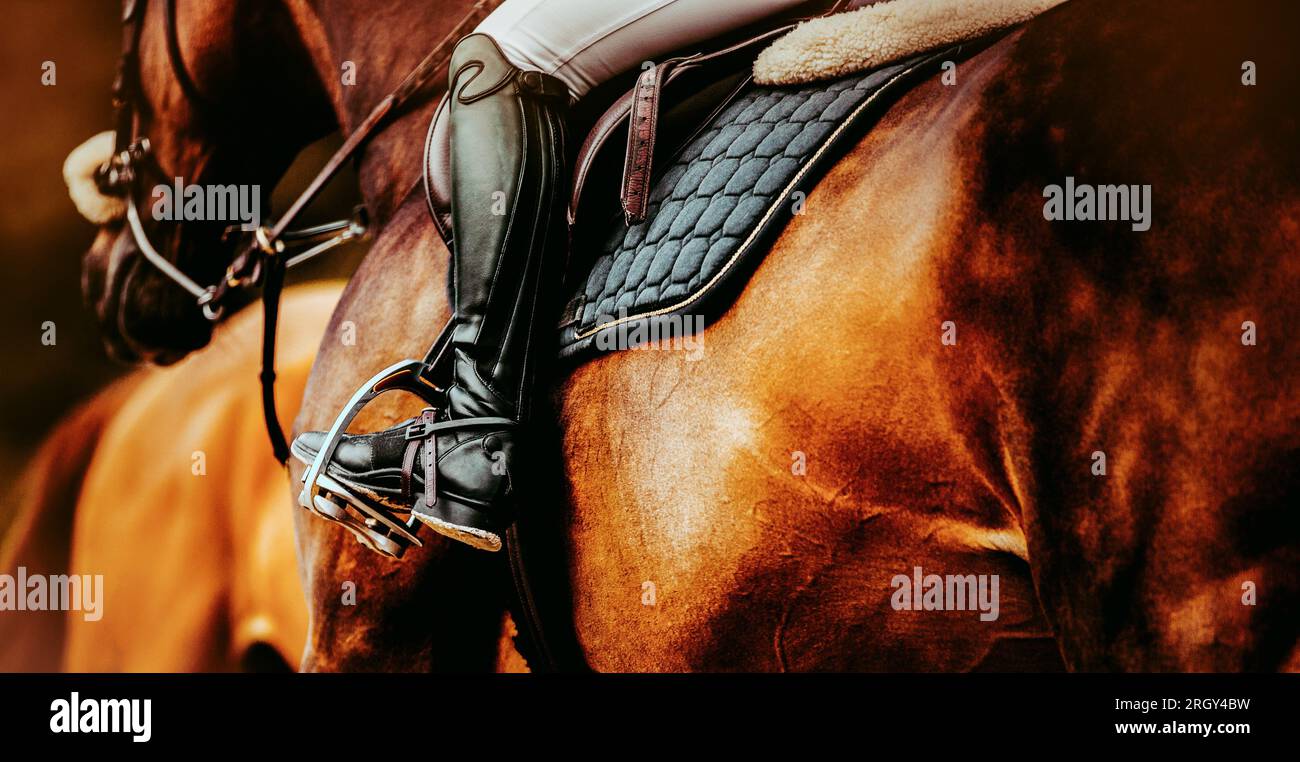 Ein Reiterbein mit hohen Stiefeln in einem Steigbügel, auf einem Kastanienpferd montiert. Reitsport und Ausrüstung und Kleidung des Reiters. Reiten und Import Stockfoto
