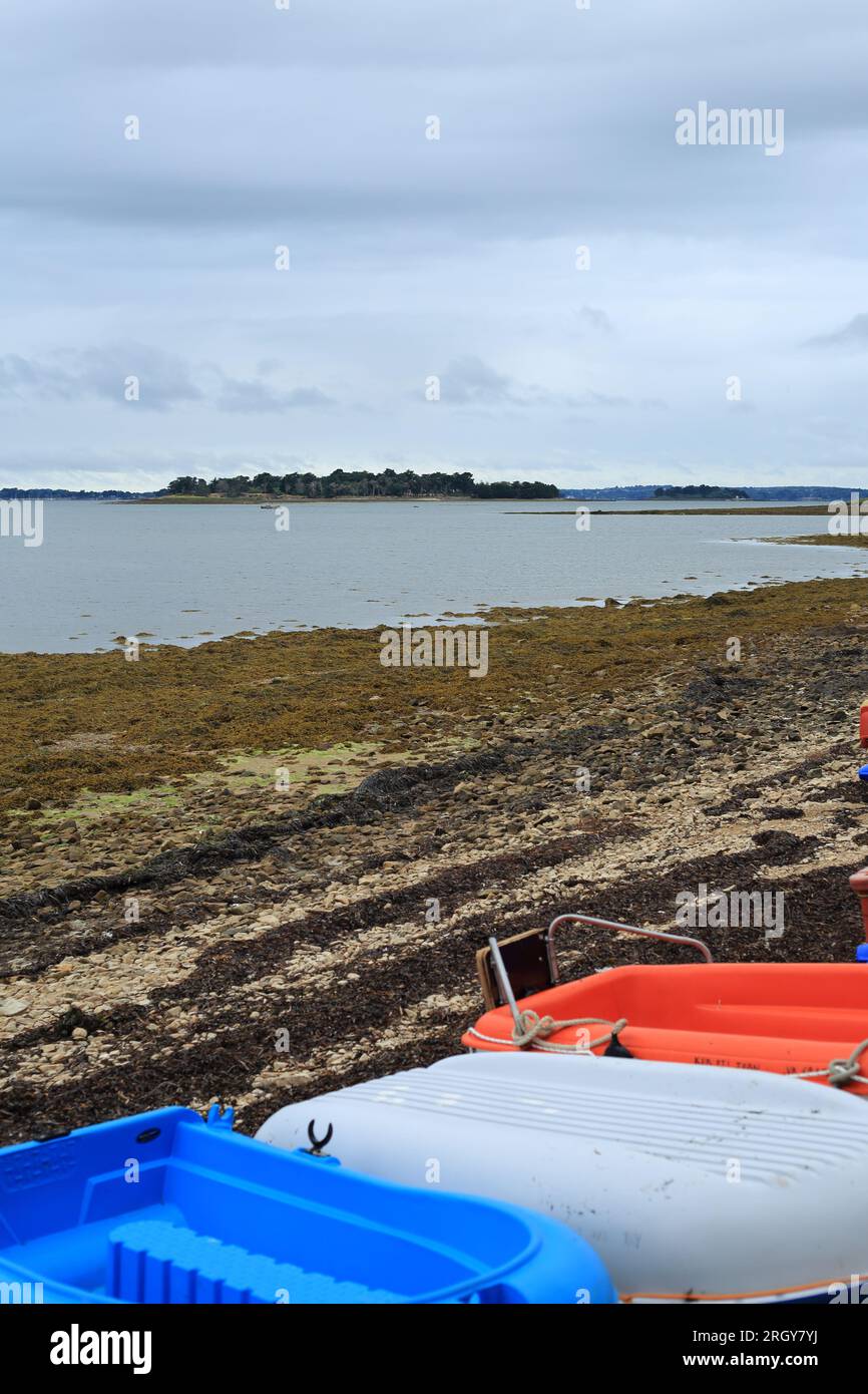 Blick auf die Ile Tascon vom Küstenfußweg außerhalb von Lasne, Saint Armel, Morbihan, Bretagne, Frankreich Stockfoto