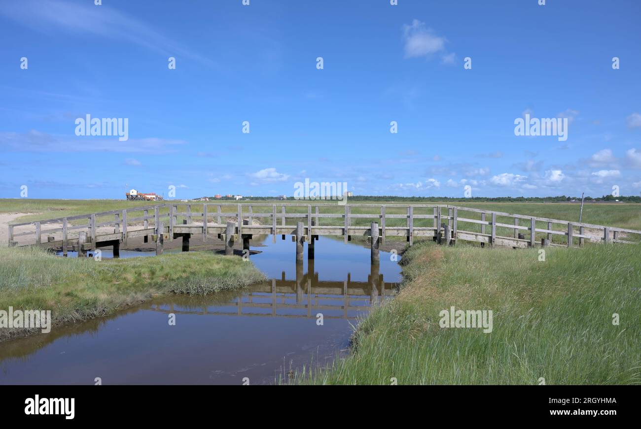 Salt Marsh im Dorf Sankt Peter-Ording auf der Eiderstedt-Halbinsel, Nordsee, Nordfriesien, Deutschland Stockfoto