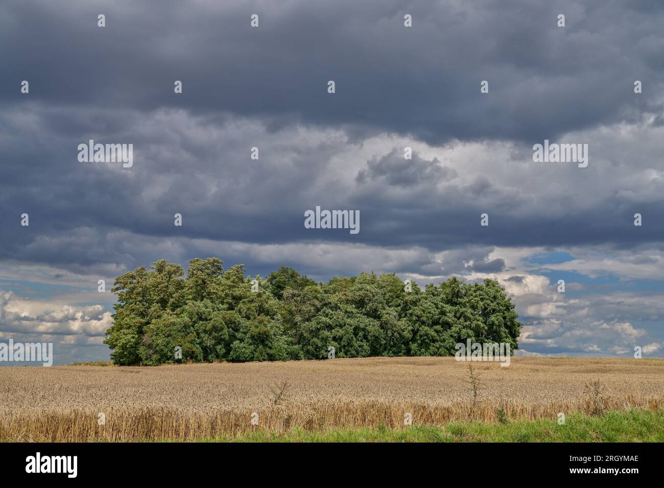 Sturmwolken am dunklen Sommerhimmel Niederschlesien Polen Stockfoto