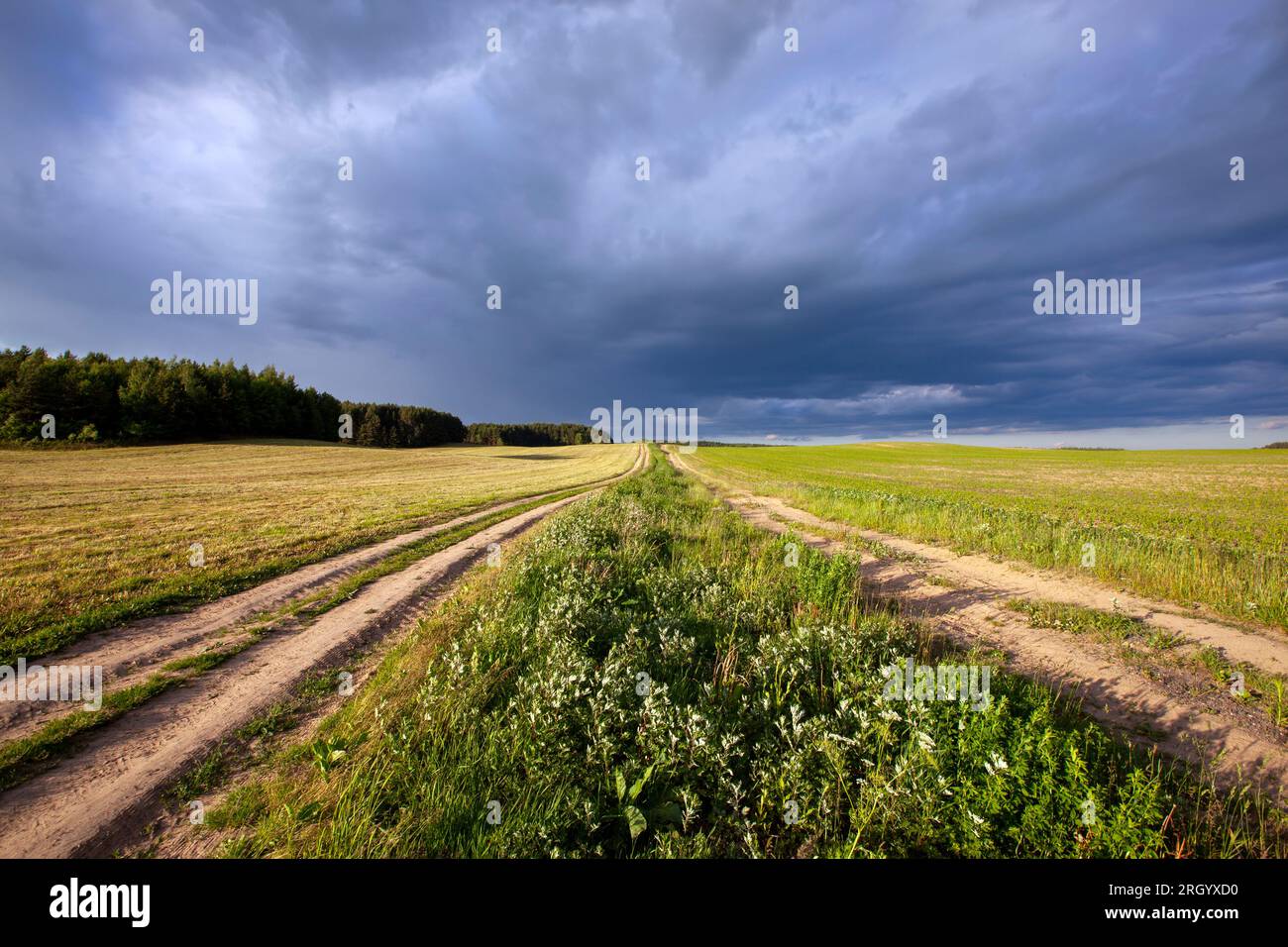 Eine Landstraße ohne Asphalt, eine einfache Landstraße durch Felder und andere natürliche Objekte Stockfoto