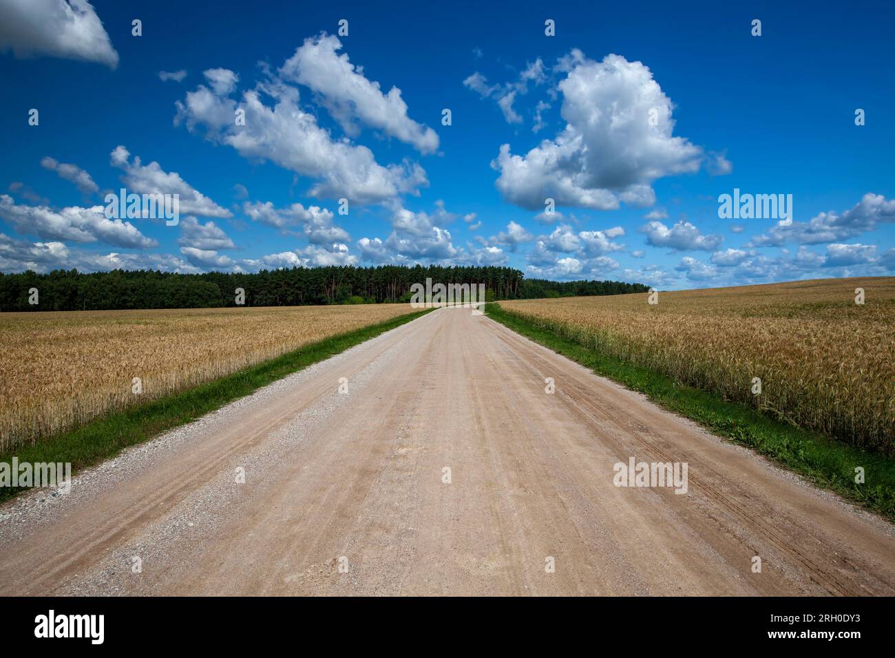 Eine Landstraße ohne Asphalt, eine einfache Landstraße durch Felder und andere natürliche Objekte Stockfoto