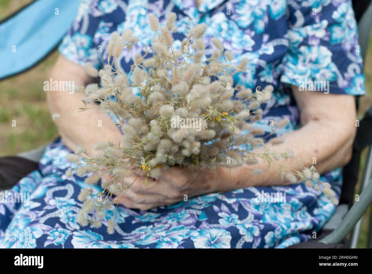 Nahaufnahme der zerknitterten Hände von Großmutter mit einem Blumenstrauß. Ältere Frau im Sitzen in der Natur. Großelterntag. Gra Stockfoto