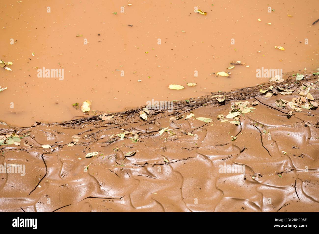 Nahaufnahme von Schlamm und Sandschlamm mit Wasser, das hinter einem Sanddamm, Pokot, Kenia, gefangen wurde Stockfoto