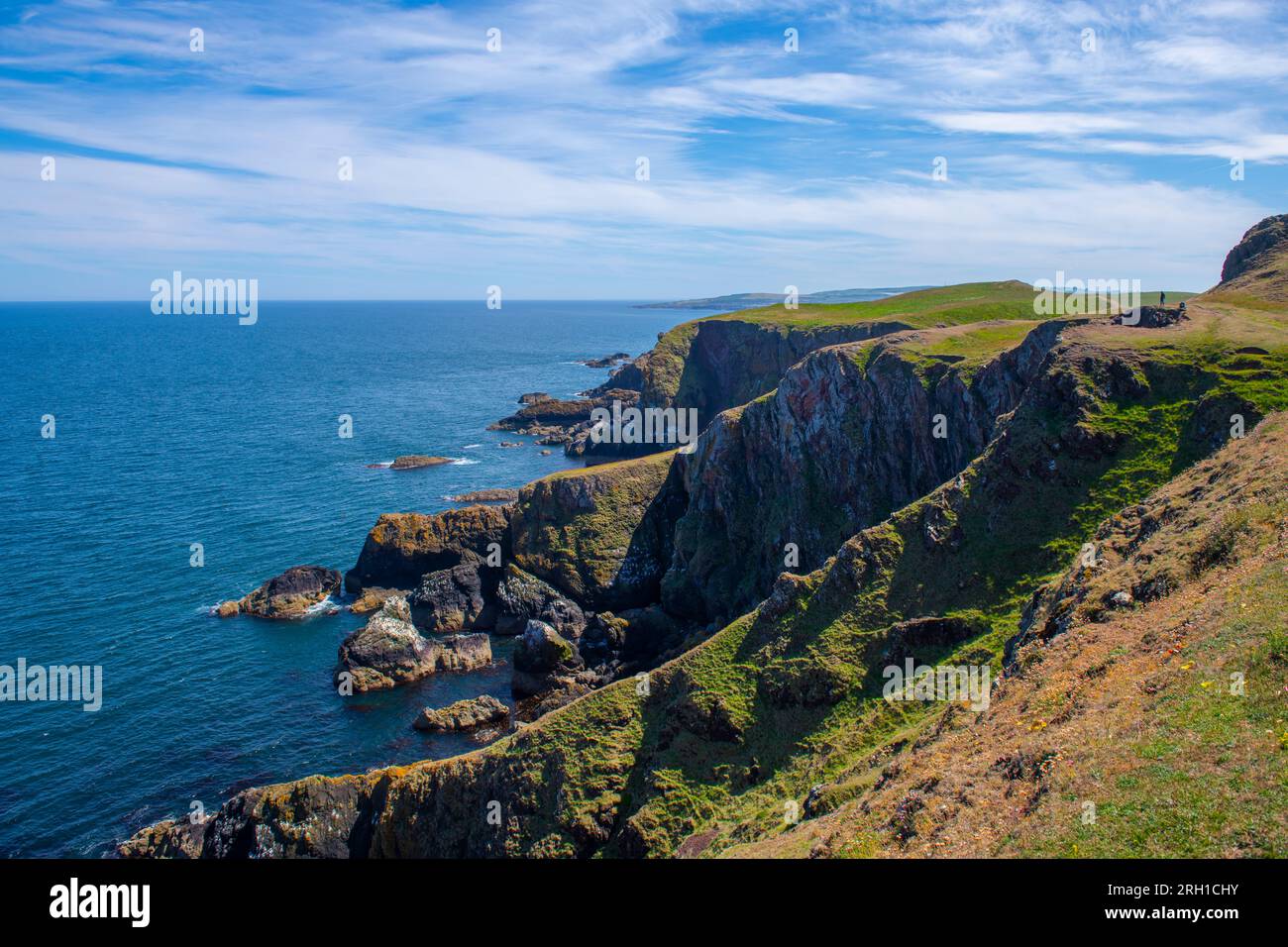 St. Abbs Head Küstenklippen Luftaufnahme im Sommer in der Nähe des Dorfes St. Abbs, Berwickshire, Schottland, Großbritannien. Stockfoto