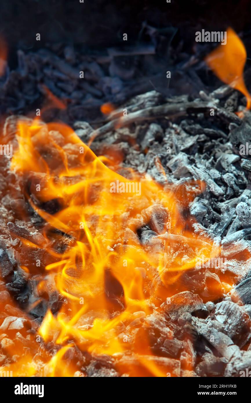 Ein Feuer aus Holzstämmen mit einer hellen Flamme auf einem Campingplatz während des Kochens, eine Flamme des Feuers aus dem Hof, ein Foto mit einer kleinen Schärfentiefe Stockfoto