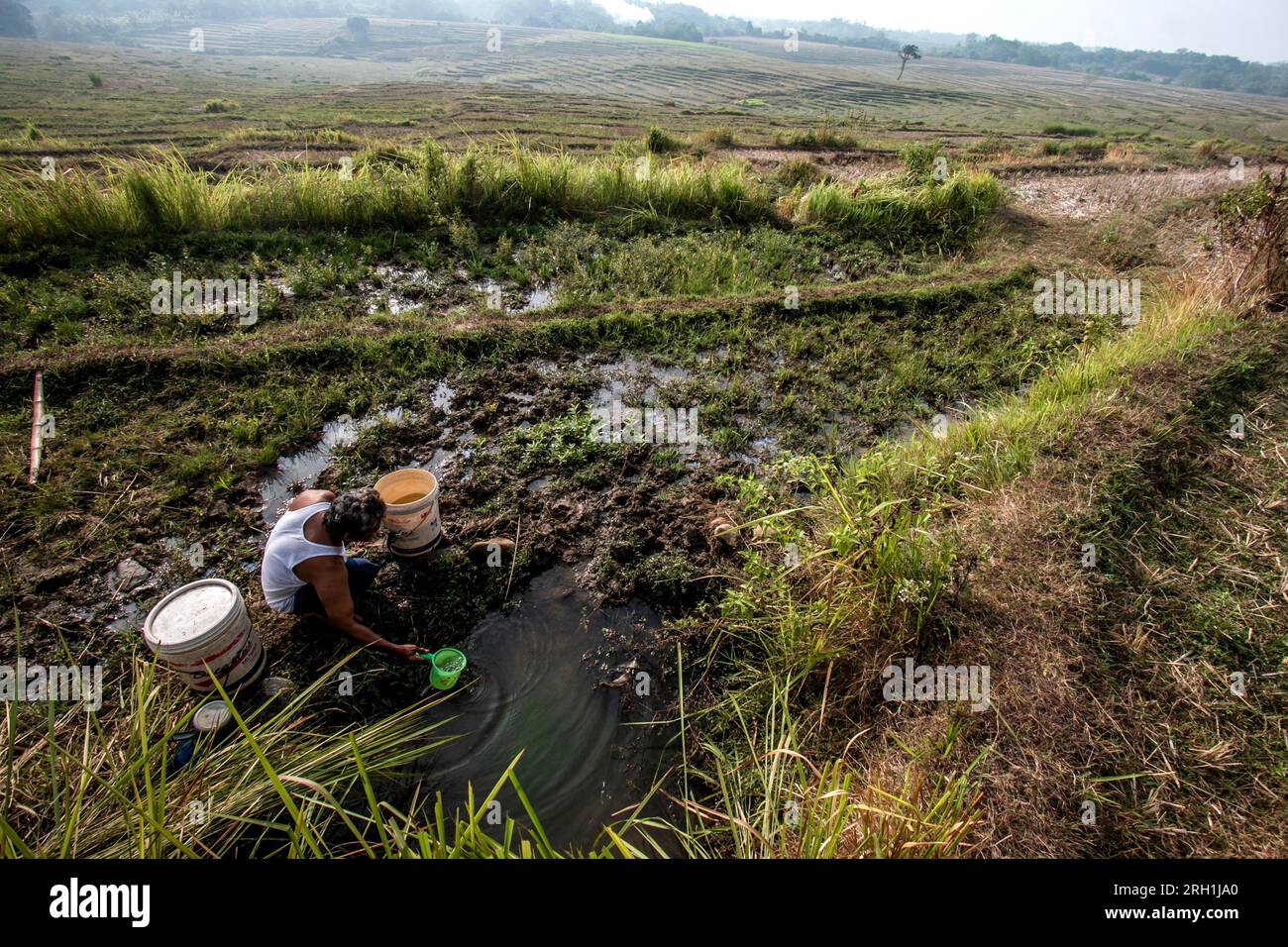 Einwohner in Bogor, West-Java, Indonesien, sammelten am 12. August 2023 Wasserinfiltrationen im Reisfeld für ihre Bedürfnisse zu Hause Stockfoto