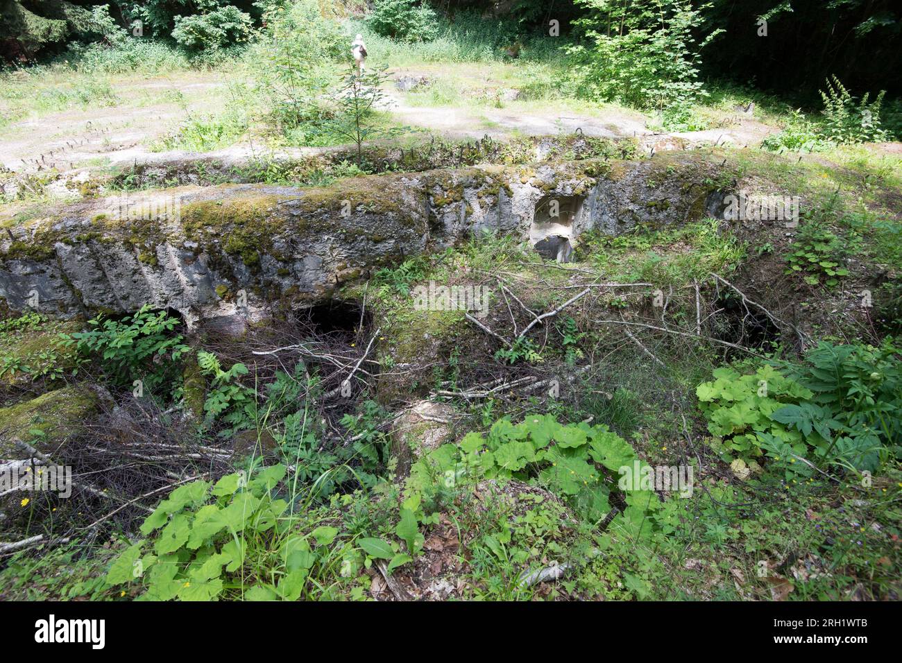 Betonmonolith mit Dutzenden von Rohren, Abflüssen und Durchbrüchen, genannt Silownia (Kraftwerk), auf dem Boden des Komplexes Osowka von Projekt Riese in G. Stockfoto