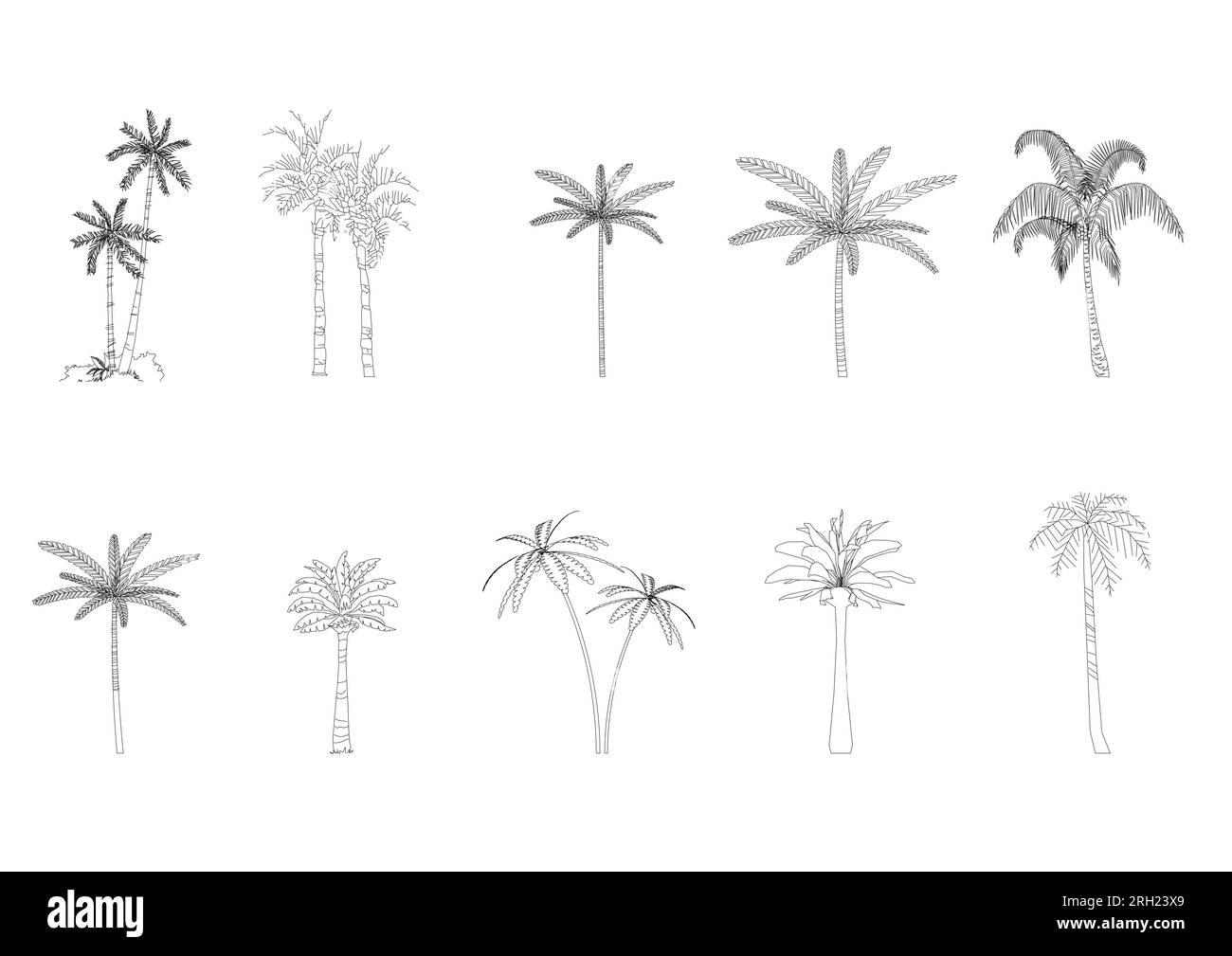 Baumansicht Zeichnung Seitenansicht Grafiken Baumansichten einzelne Objektkonturen Minimales Pflanzensymbol für Architektur- und Landschaftsdesign. Vektor. Stock Vektor
