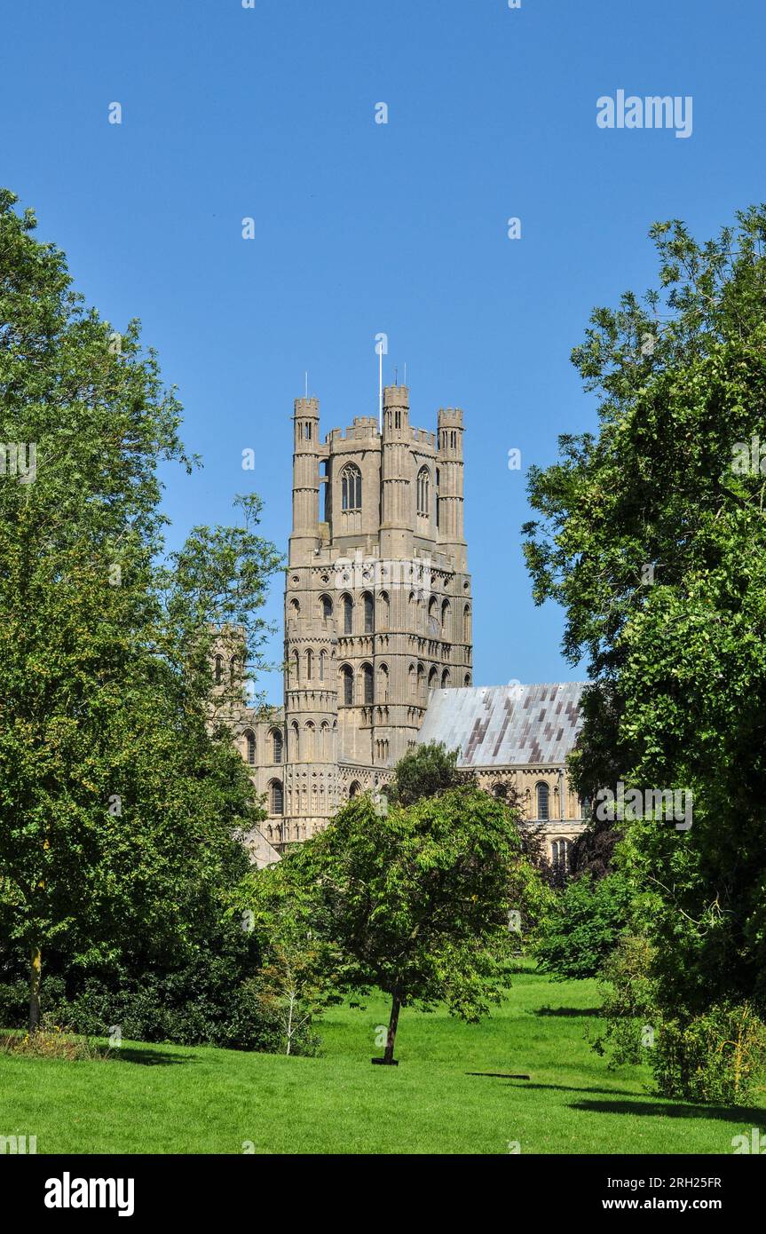 Ländlicher Blick auf den Cathedral West Tower durch Bäume vom Park in Ely, Cambridgeshire, England, Großbritannien Stockfoto