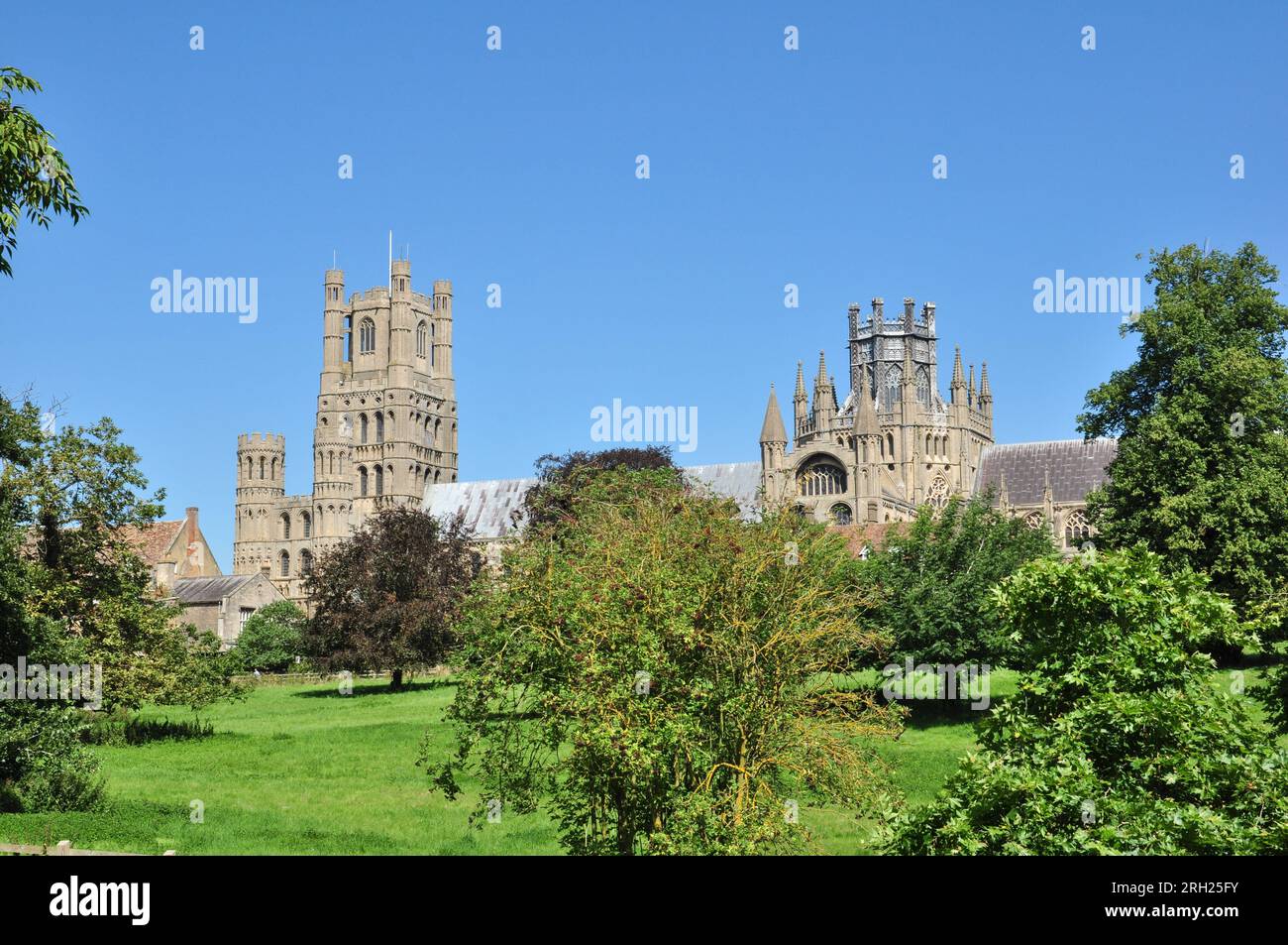 Ländlicher Blick auf die Kathedrale und Bäume vom Park in Ely, Cambridgeshire, England, Großbritannien Stockfoto