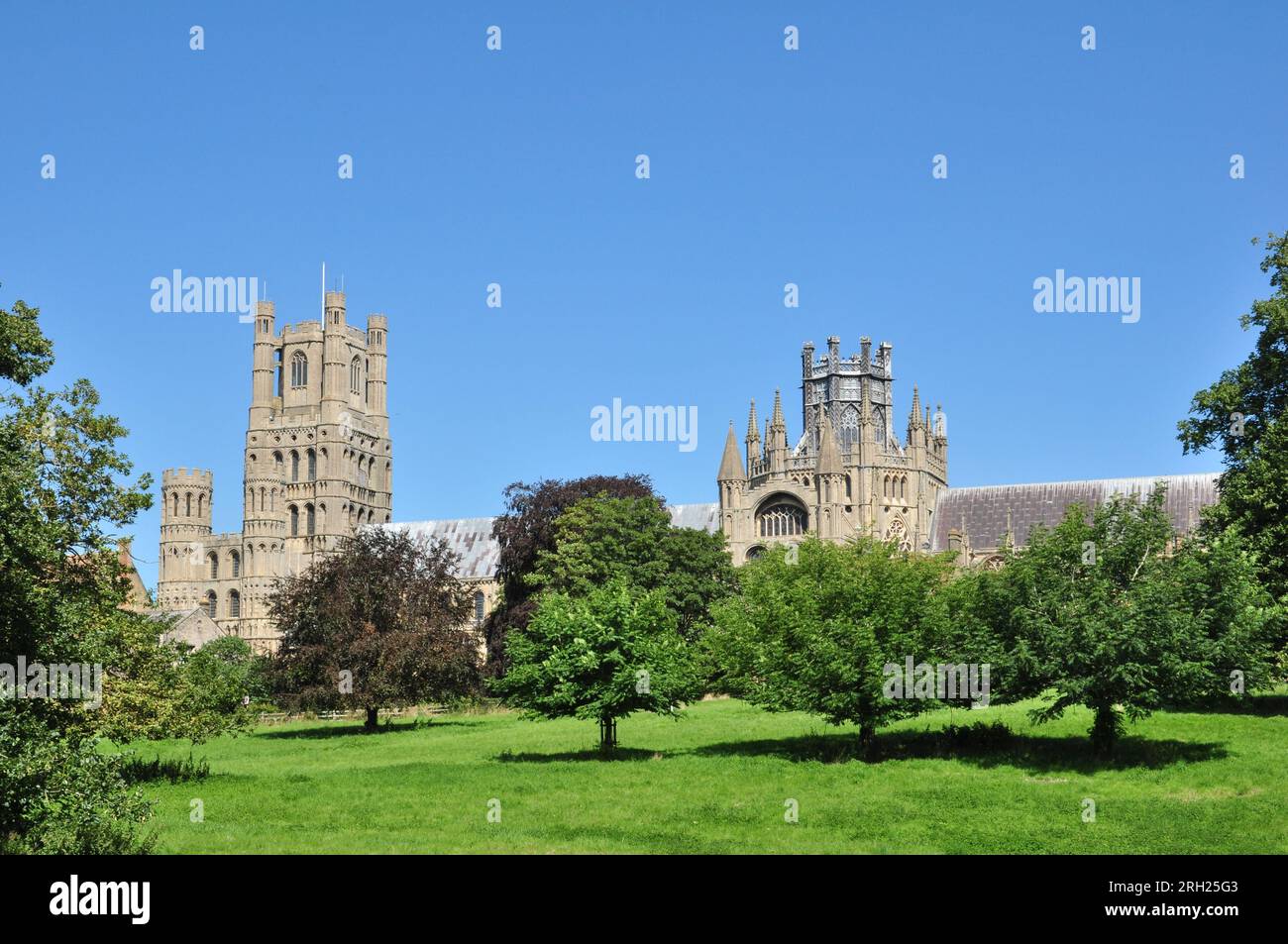 Ländlicher Blick auf die Kathedrale und Bäume vom Park in Ely, Cambridgeshire, England, Großbritannien Stockfoto