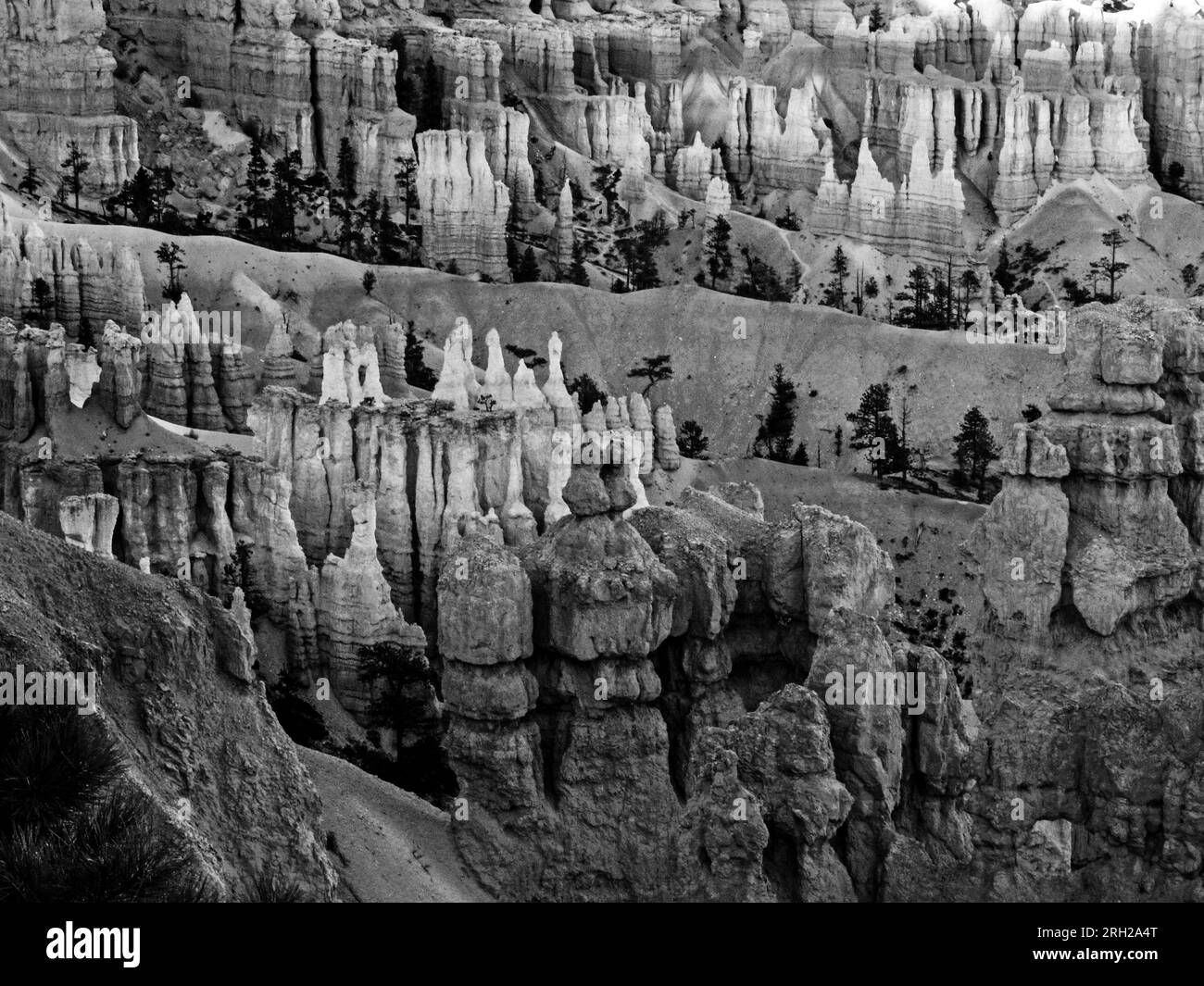 Die seltsamen und bizarren Kalkstein-Hoodoos im Bryce Canyon-Nationalpark in Utah, USA, in Schwarz und Weiß. Stockfoto