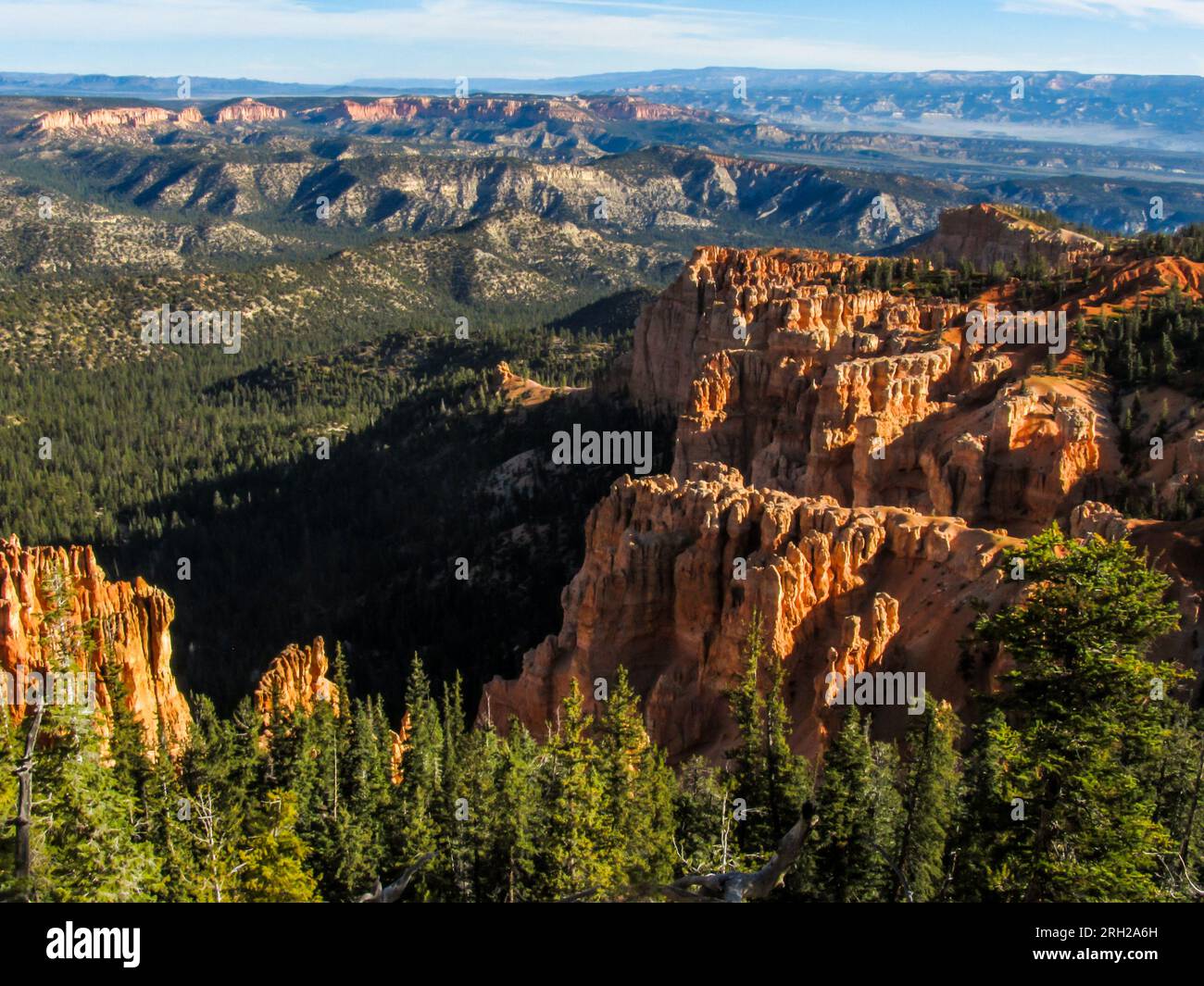 Der Blick vom Regenbogenpunkt auf die lebendigen bunten Huren des Bryce Canyon Nationalparks und die Kiefernwälder im Tal darunter. Stockfoto