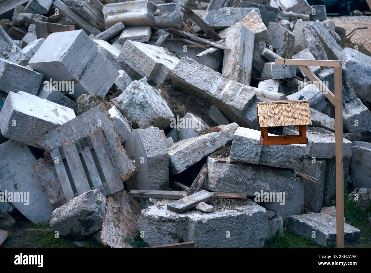 Vogelfutter gegen Betonfragmente Stockfoto