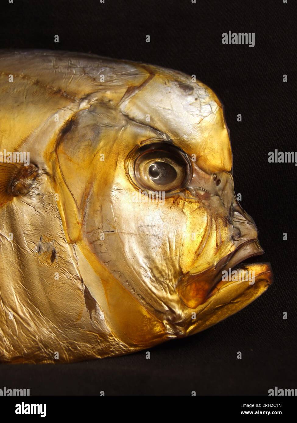 Alien Face erbricht fosh Kopf. Ungewöhnliches Rauchfisch-Porträt, isoliert auf Schwarz Stockfoto
