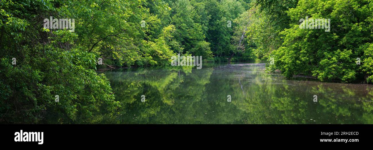 Sommerlaub am Patapsco River in der Nähe des Daniels Dam in Ellicott City, Maryland Stockfoto