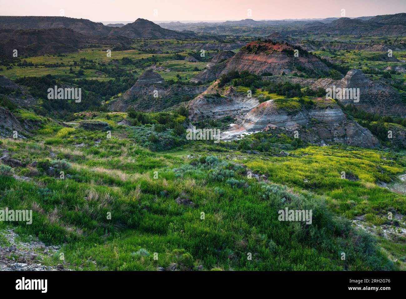 Goldene Stunde Licht über der dramatischen Sommerlandschaft des Theodore Roosevelt National Park außerhalb von Medora, North Dakota Stockfoto