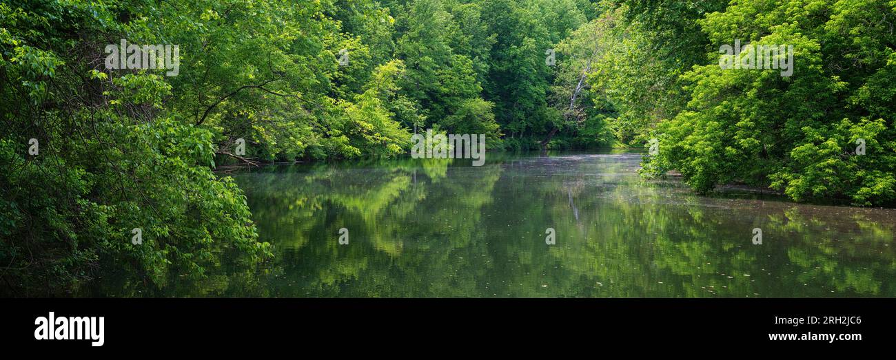 Sommerlaub am Patapsco River in der Nähe des Daniels Dam in Ellicott City, Maryland Stockfoto