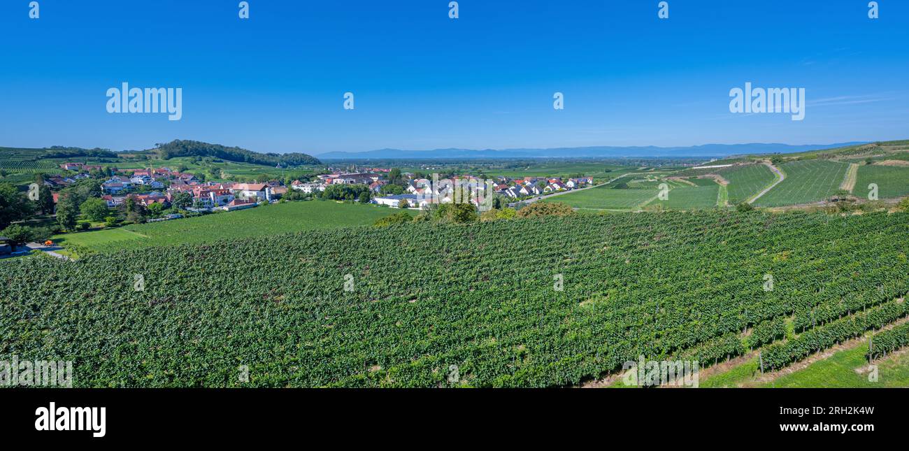 Blick vom Aufstieg zum Mondhalde Pavillon auf Oberrotweil (Vogtsburg), Rheinebene, Vogesen. Kaiserstuhl, Baden Württemberg, Deutschland, Europa Stockfoto