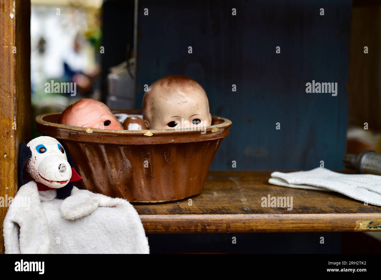 Auf einem Flohmarkt schauen die Puppenköpfe mit leeren Augenhöhlen über dem Rand einer Backform, flankiert von einem Puppenhund Stockfoto