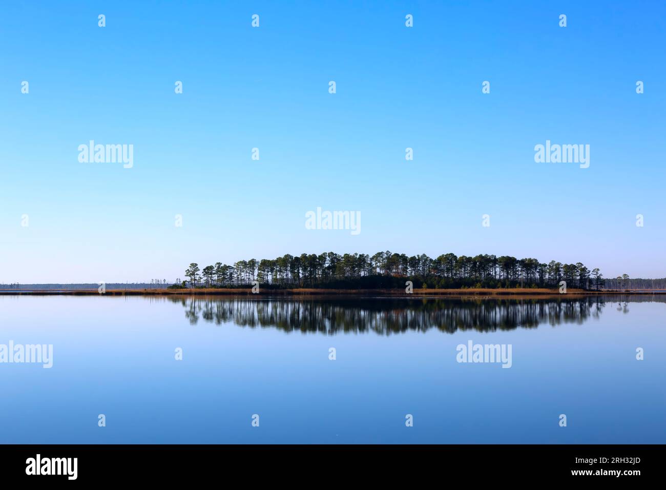 Blackwater Wildlife Refuge, Maryland, USA Stockfoto