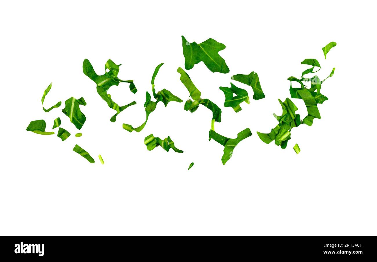 Gehackte Rucola-Blätter als grüne Gewürze fliegen, isoliert auf weißem, transparentem Hintergrund Stockfoto