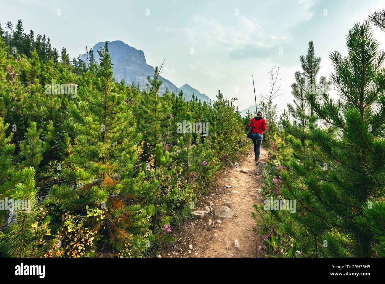 Eine Frau in einem roten Dach wandert auf einem Pfad in der kanadischen Wildnis bei Alberta in den Kanadischen Rockies Stockfoto