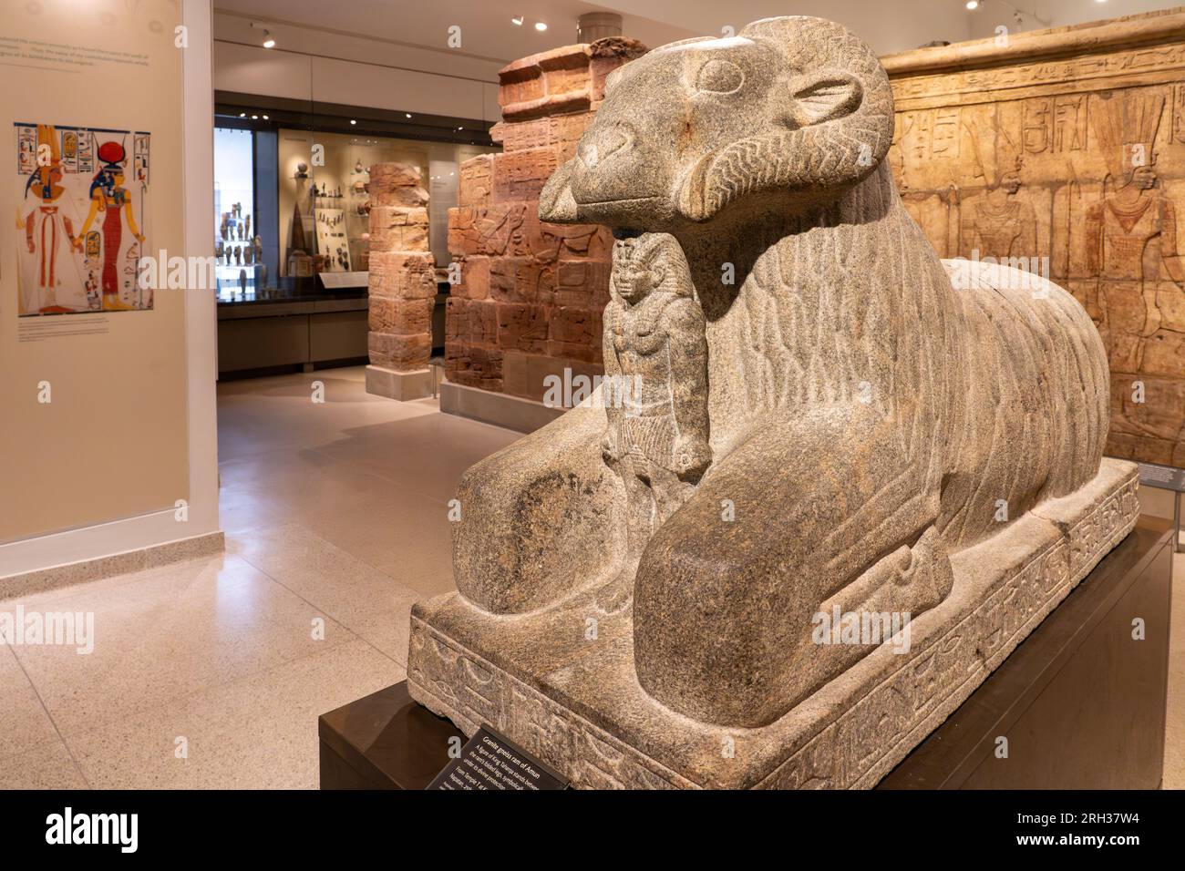 Im Inneren des Ashmolean Museum, Oxford, Großbritannien Stockfoto