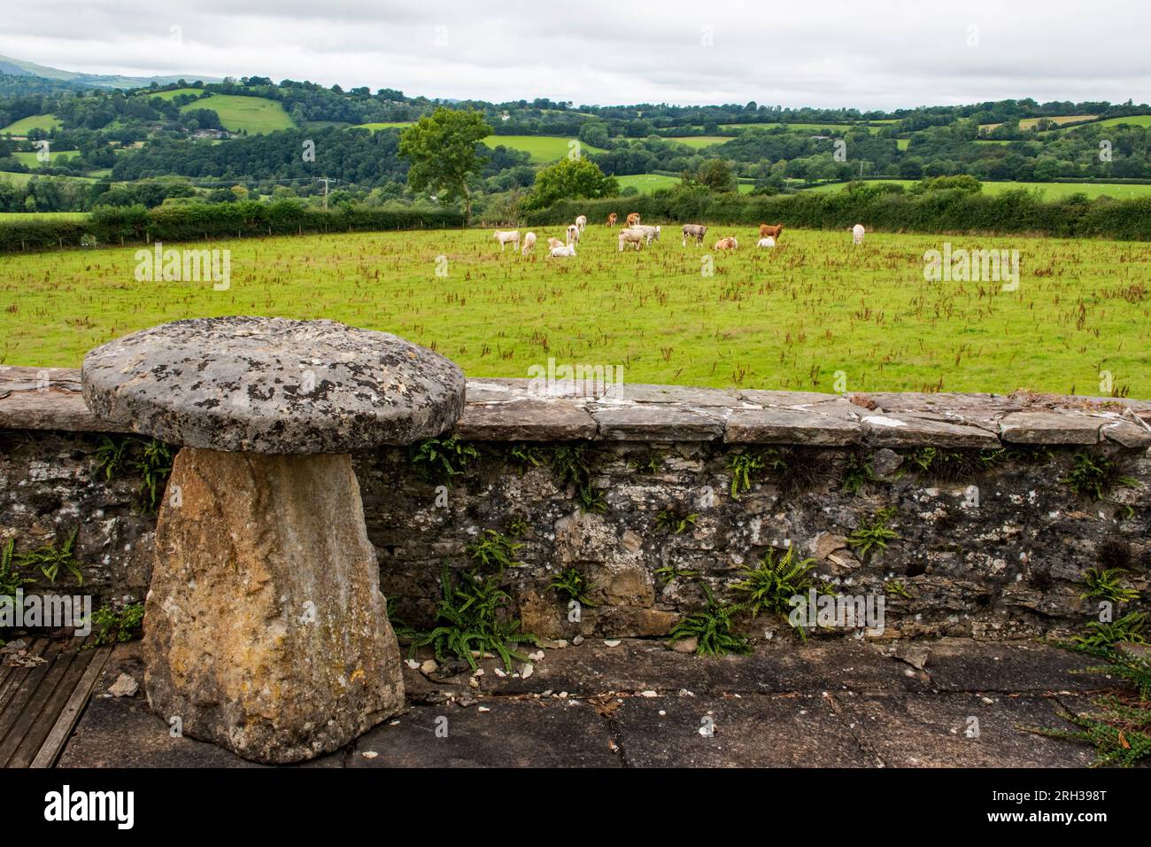 Staddelstein in einer walisischen Landschaft. Stockfoto