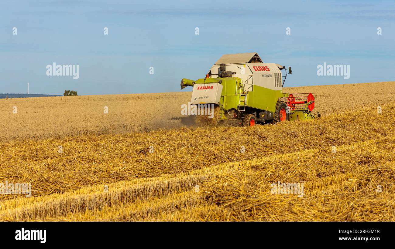 Deutschland, 11. August 2023: CLAAS-Mähdrescher im Einsatz. Stockfoto