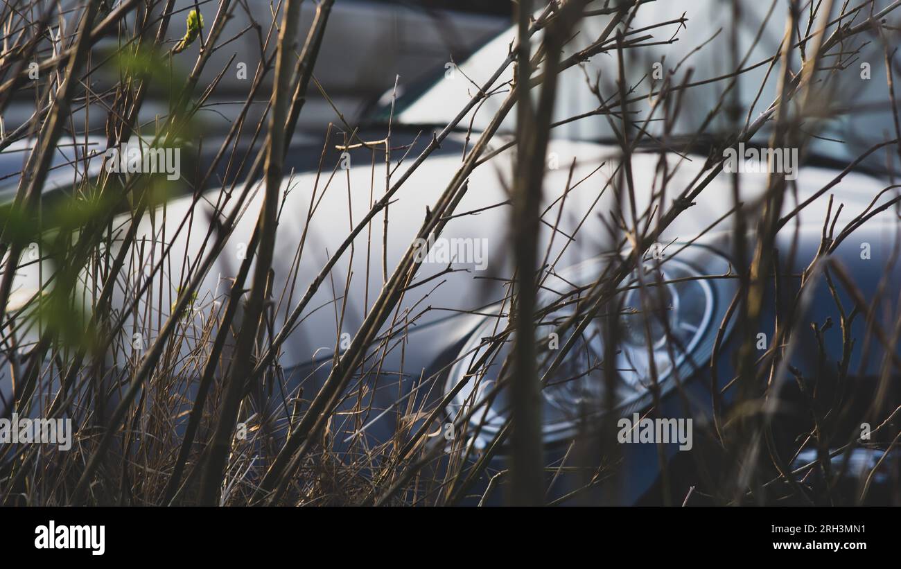 Deutscher moderner schwarzer Porsche 911 fotografiert durch eine Hecke, um die Front des sportlichen, teuren und schönen Autos zu sehen. Der Scheinwerfer leuchtet Stockfoto