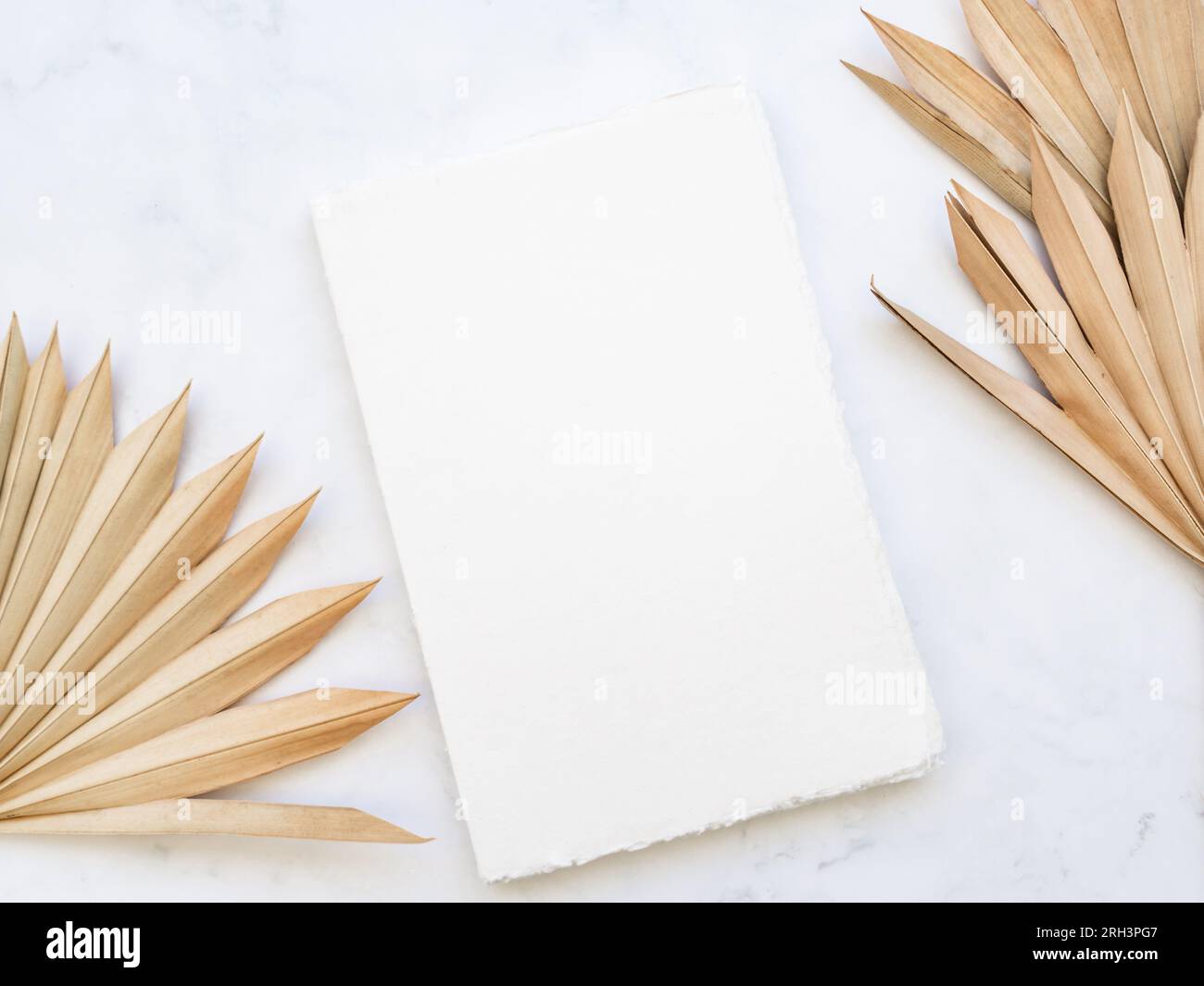 Nahaufnahme von getrockneten fächerförmigen tropischen Palmblättern und weißer Vintage-Notizblock-Abdeckung auf weißem Hintergrund. Draufsicht. Leerzeichen kopieren Stockfoto