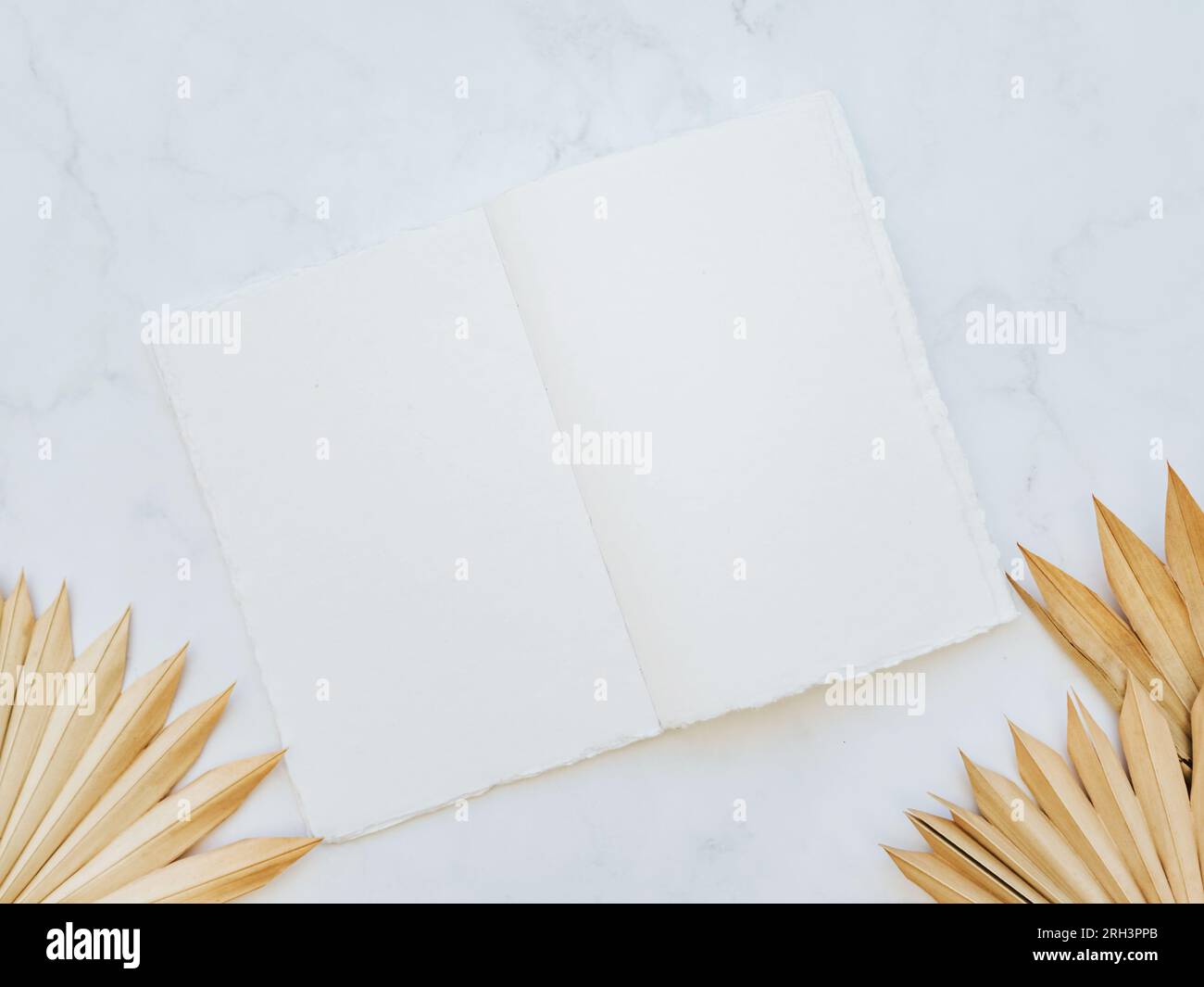 Nahaufnahme von getrockneten, fächerförmigen tropischen Palmblättern und offenem weißem Vintage-Notizblock auf weißem Hintergrund. Draufsicht. Leerzeichen kopieren Stockfoto
