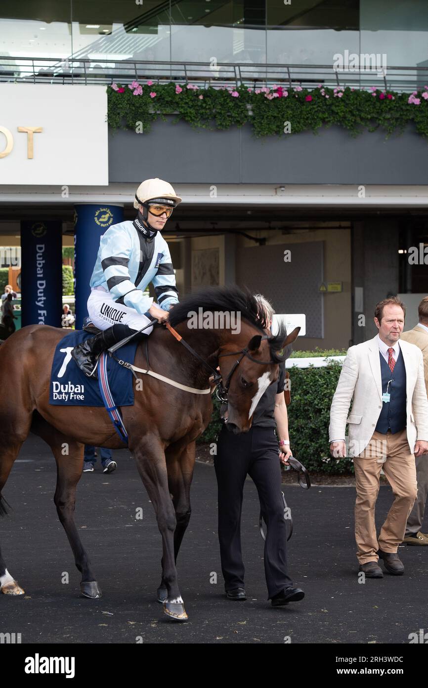 Ascot, Berkshire, Großbritannien. 12. August 2023. Horse Radio Goo Goo, geritten von Jockey Thore Hammer Hansen und ausgebildet von David Evans, Abergavenny, geht auf die Rennbahn in Ascot für den Dubai Duty Free Shergar Cup Sprint. Kredit: Maureen McLean/Alamy Live News Stockfoto