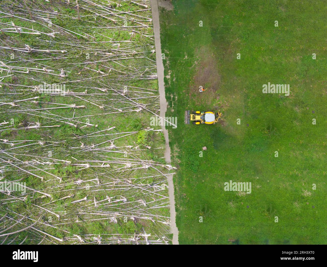 Ein Bulldozer räumt einen Wald. Entwaldung und Klimawandel aus der Luft. Stockfoto