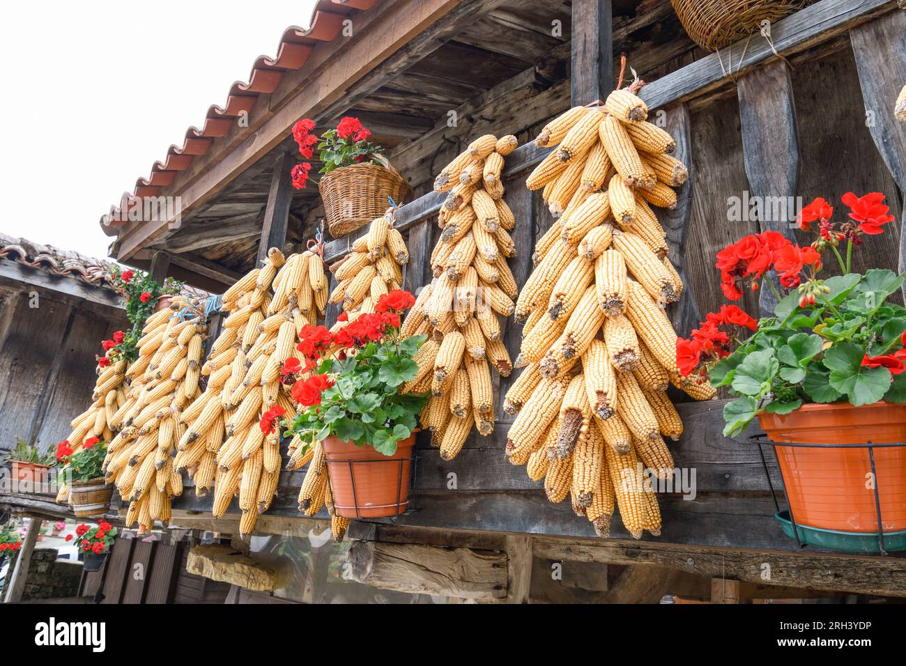 Asturische Kornkammer in Pedroveya, Asturien Stockfoto